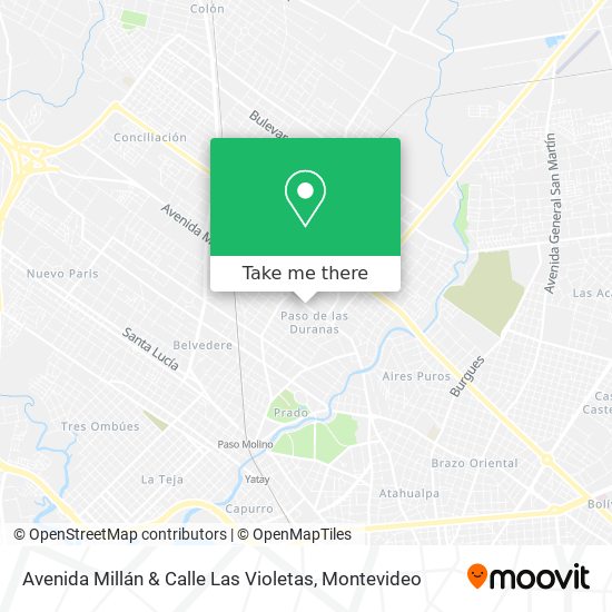 Avenida Millán & Calle Las Violetas map
