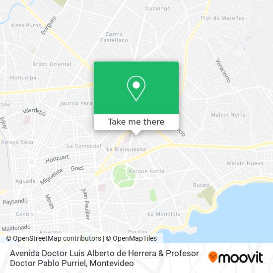 Avenida Doctor Luis Alberto de Herrera & Profesor Doctor Pablo Purriel map