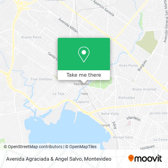Avenida Agraciada & Angel Salvo map