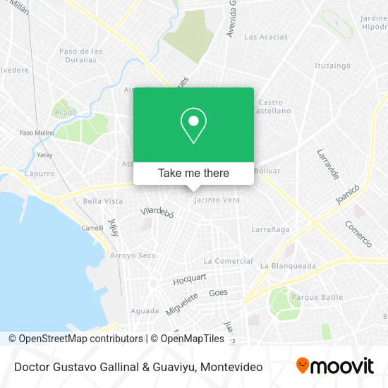 Mapa de Doctor Gustavo Gallinal & Guaviyu