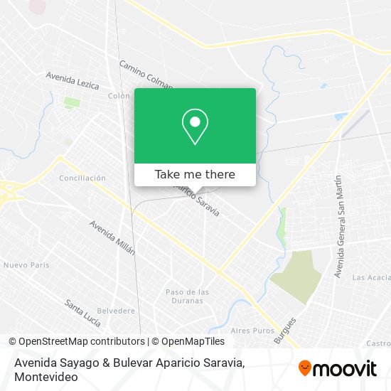 Avenida Sayago & Bulevar Aparicio Saravia map