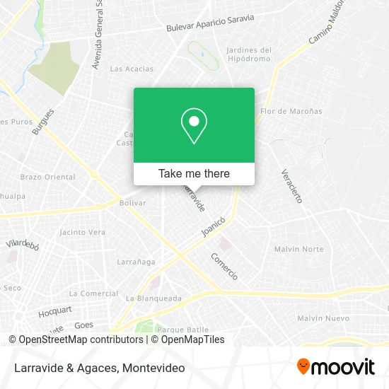 Larravide & Agaces map