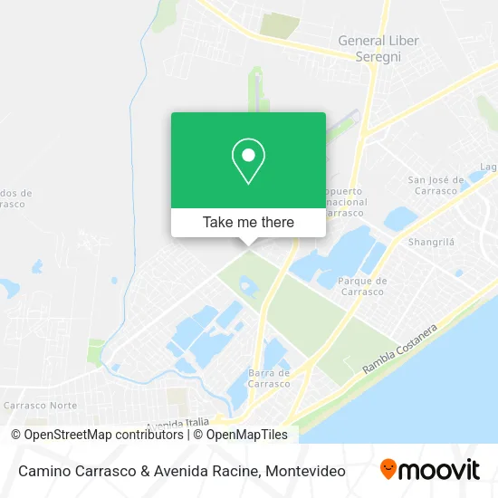 Camino Carrasco & Avenida Racine map