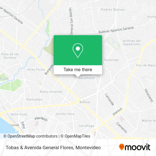 Tobas & Avenida General Flores map