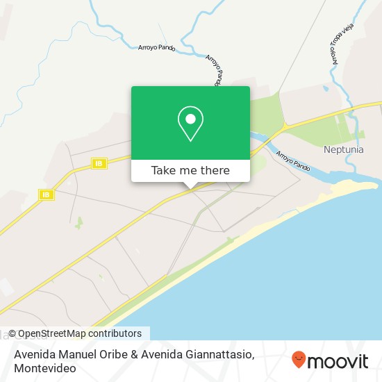 Avenida Manuel Oribe & Avenida Giannattasio map