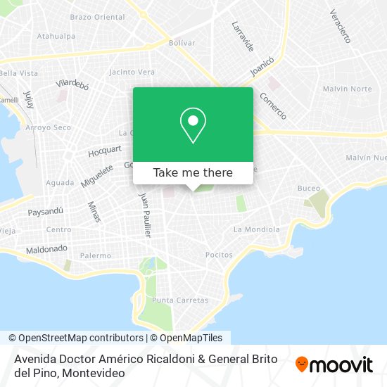 Avenida Doctor Américo Ricaldoni & General Brito del Pino map