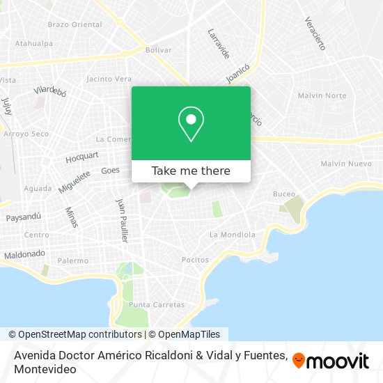 Avenida Doctor Américo Ricaldoni & Vidal y Fuentes map