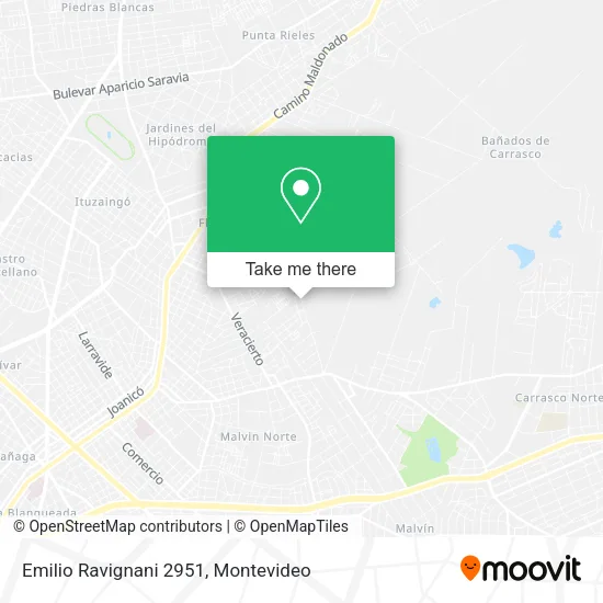 Emilio Ravignani 2951 map