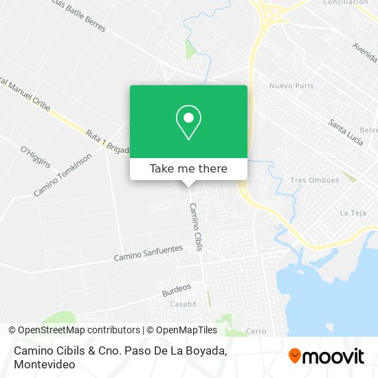 Camino Cibils & Cno. Paso De La Boyada map