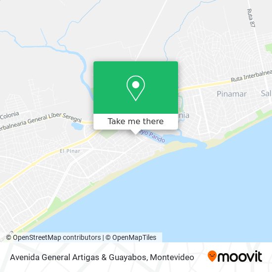 Avenida General Artigas & Guayabos map