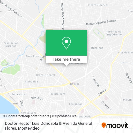 Doctor Héctor Luis Odriozola & Avenida General Flores map