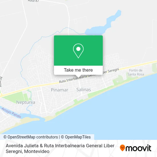 Mapa de Avenida Julieta & Ruta Interbalnearia General Liber Seregni