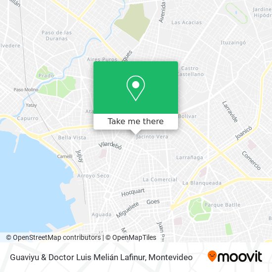 Guaviyu & Doctor Luis Melián Lafinur map