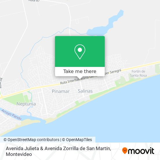 Avenida Julieta & Avenida Zorrilla de San Martín map