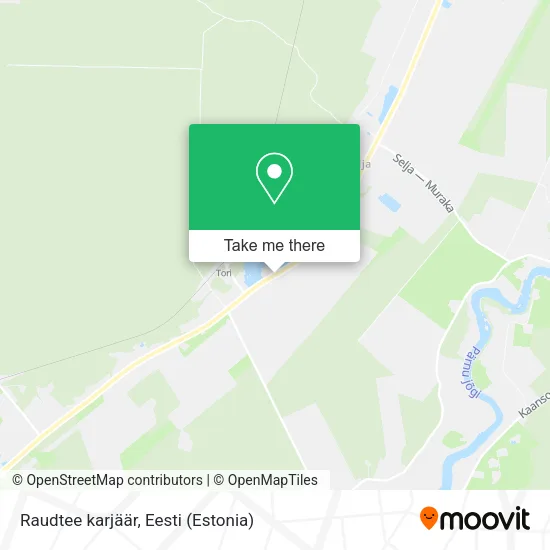Raudtee karjäär map