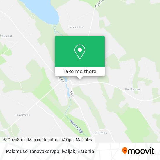 Palamuse Tänavakorvpalliväljak map