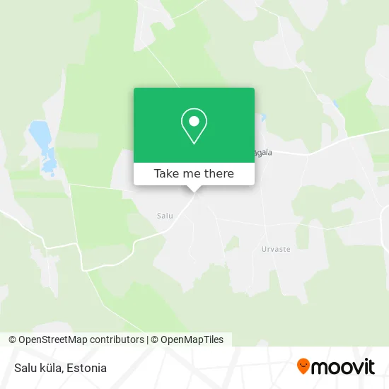 Карта Salu küla