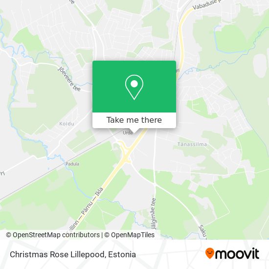 Карта Christmas Rose Lillepood