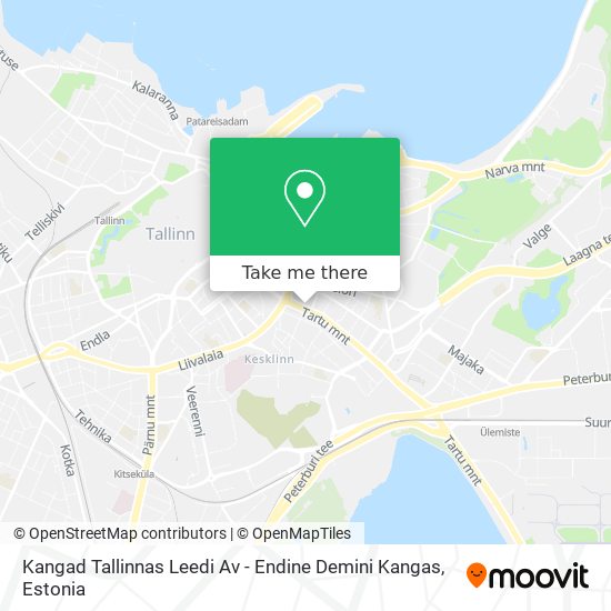Карта Kangad Tallinnas Leedi Av - Endine Demini Kangas
