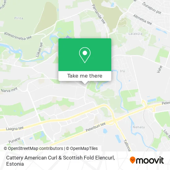 Карта Cattery American Curl & Scottish Fold Elencurl