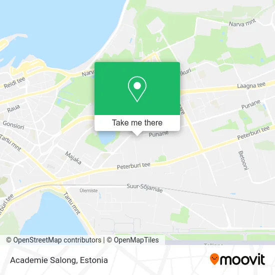 Карта Academie Salong