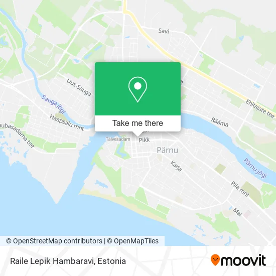 Карта Raile Lepik Hambaravi