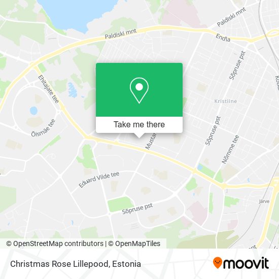 Christmas Rose Lillepood map