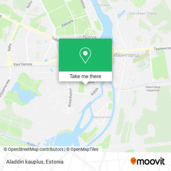 Карта Aladdin kauplus