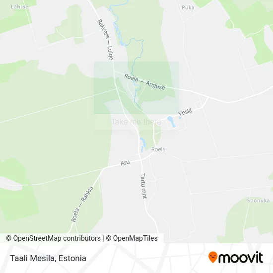 Taali Mesila map