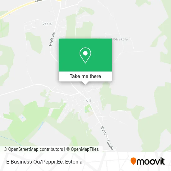 Карта E-Business Ou/Peppr.Ee