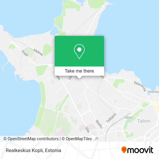 Карта Realkeskus Kopli