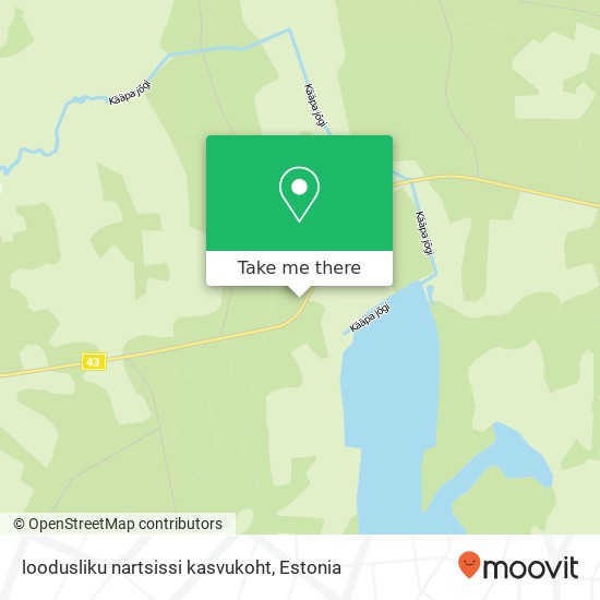 loodusliku nartsissi kasvukoht map