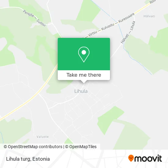 Lihula turg map