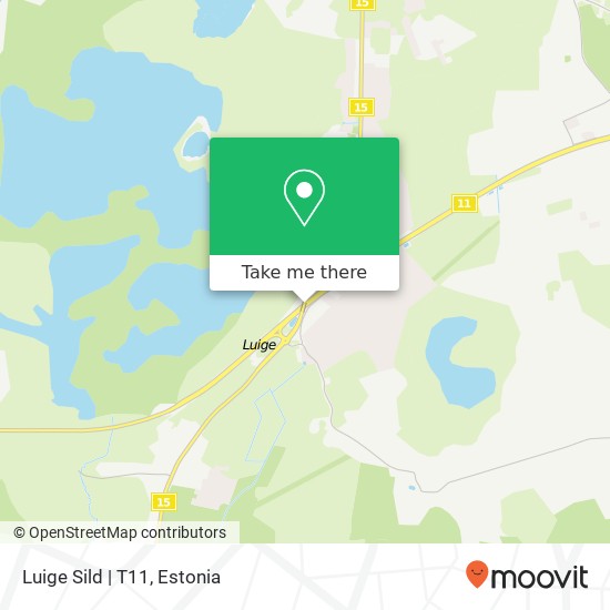 Luige Sild | T11 map