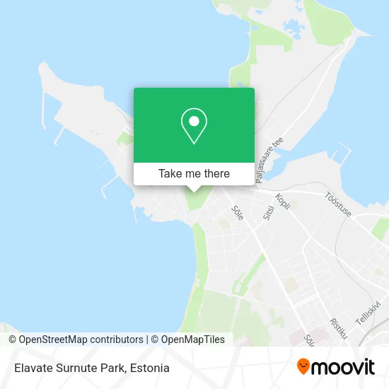 Карта Elavate Surnute Park