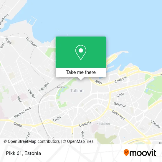 Карта Pikk 61