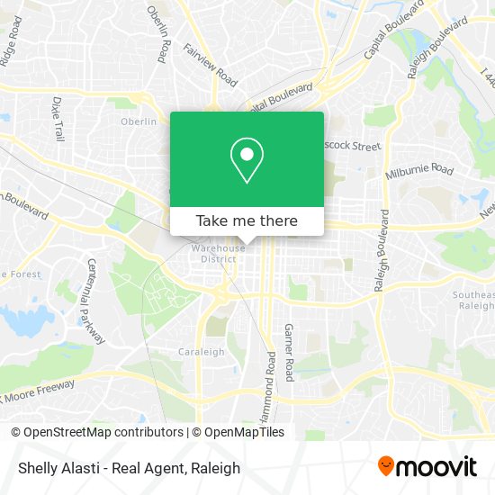 Shelly Alasti - Real Agent map