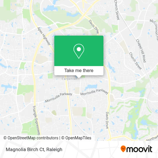 Magnolia Birch Ct map