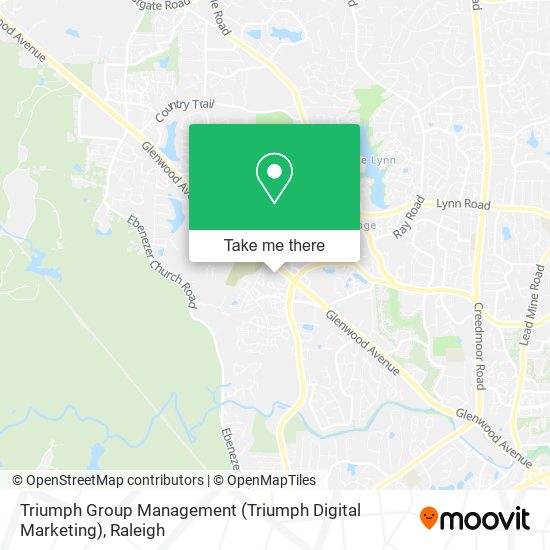 Mapa de Triumph Group Management (Triumph Digital Marketing)