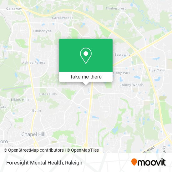 Foresight Mental Health map