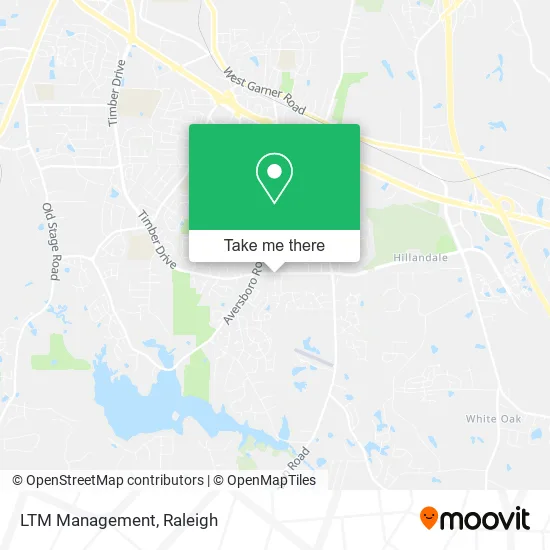 LTM Management map