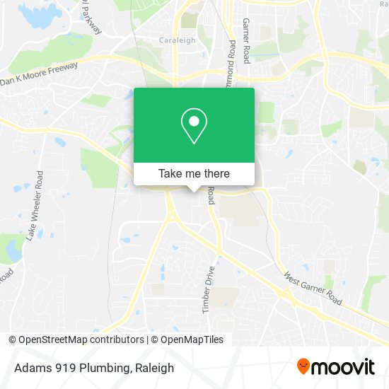 Adams 919 Plumbing map