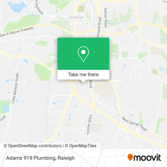 Adams 919 Plumbing map