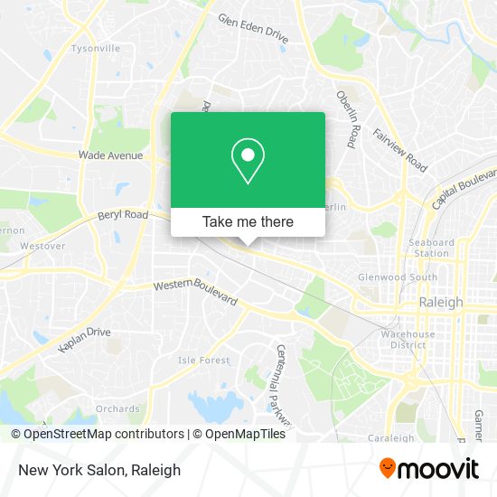 Mapa de New York Salon