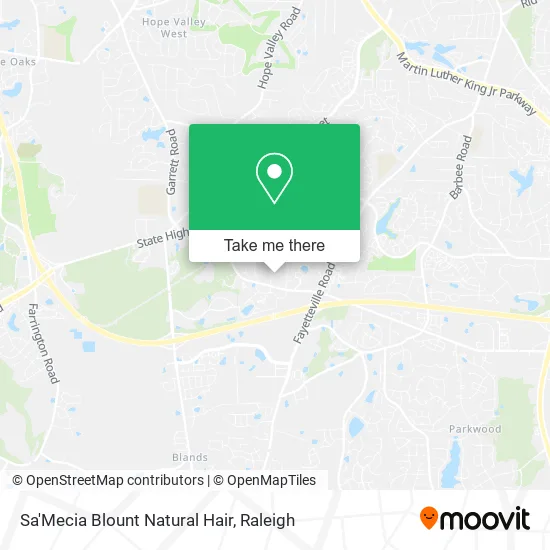 Sa'Mecia Blount Natural Hair map