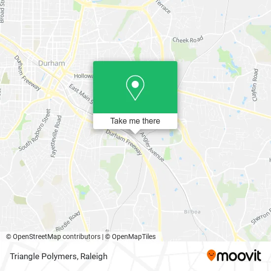 Triangle Polymers map