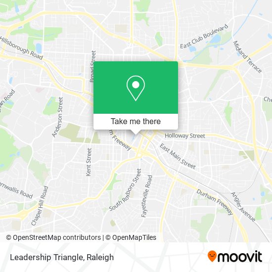 Leadership Triangle map