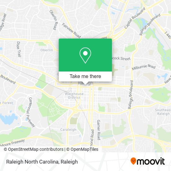 Raleigh North Carolina map