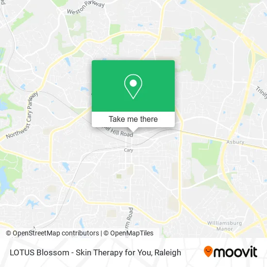 Mapa de LOTUS Blossom - Skin Therapy for You