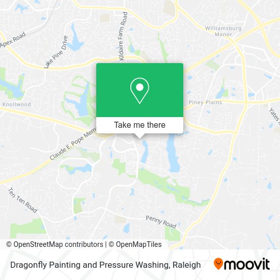 Dragonfly Painting and Pressure Washing map